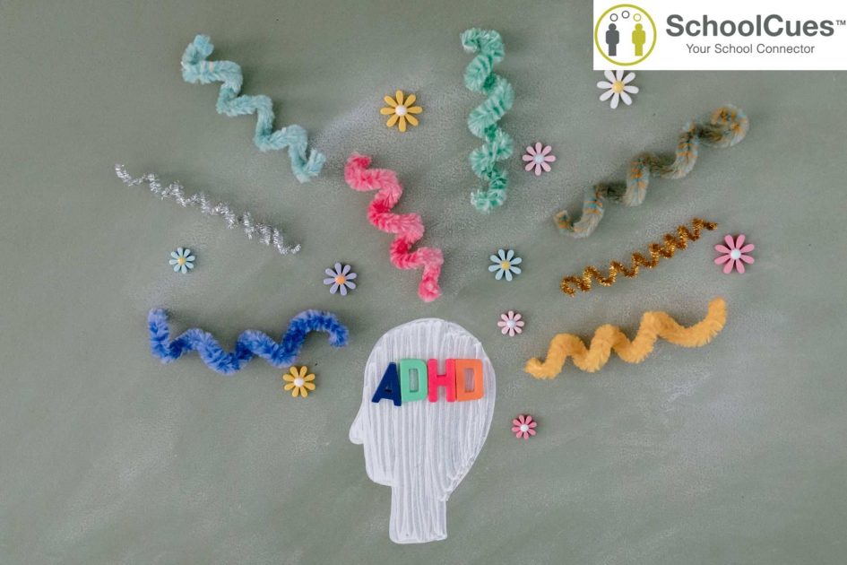 7 Must-Have Features in School Management Software for Supporting Neurodiverse Learners