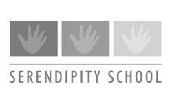 Serendipity School
